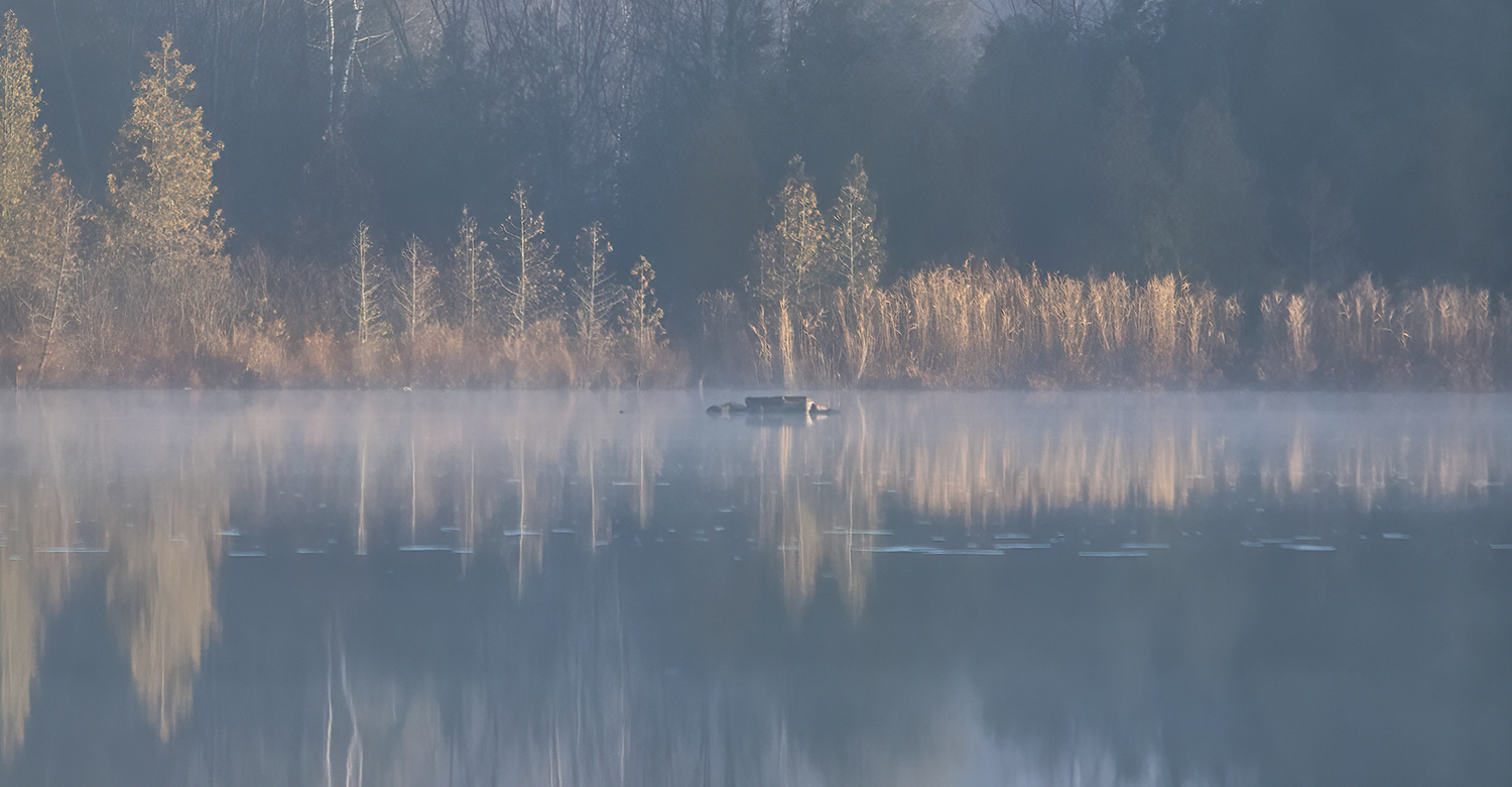 Reflections
