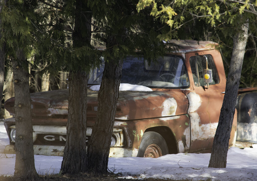 An abandoned truck in the forest