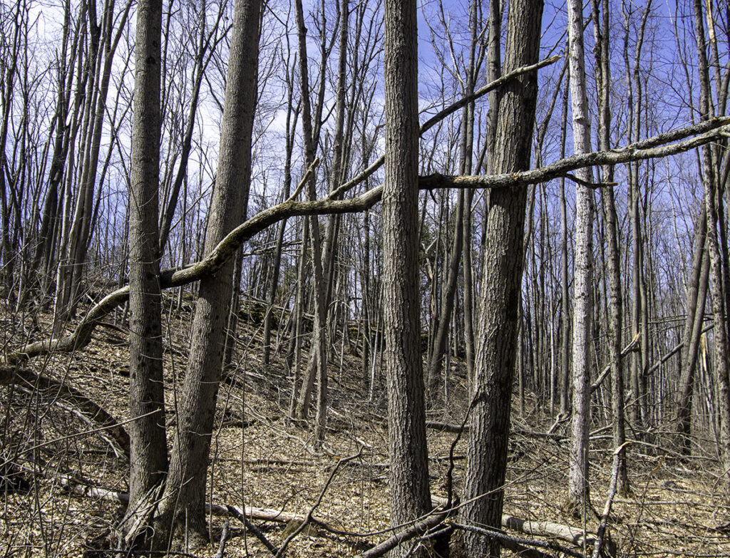 Intertwined