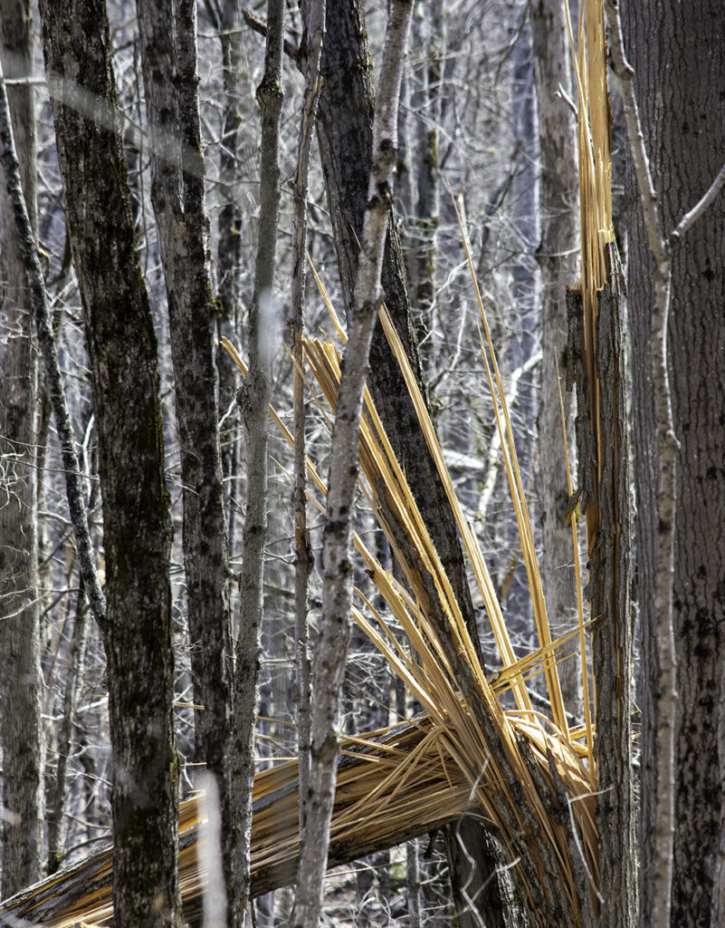 Ice Storm: Splintered