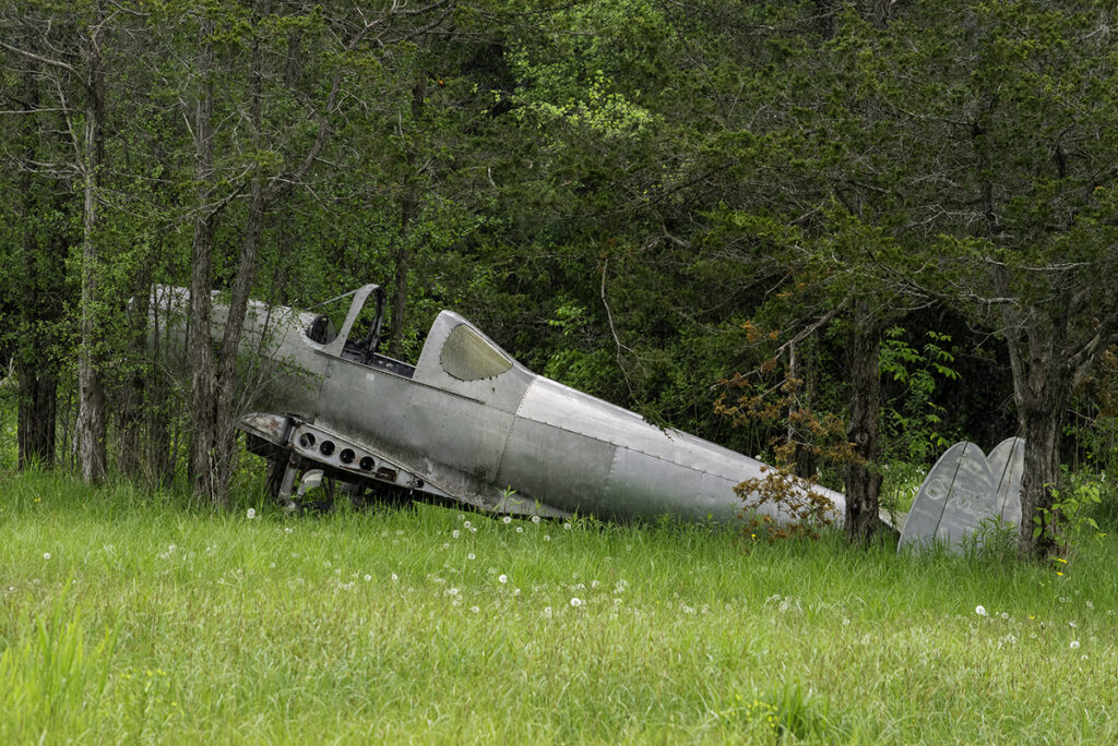 Grounded An old airplane trapped by trees in a meadow near Sandbanks Provincial Park