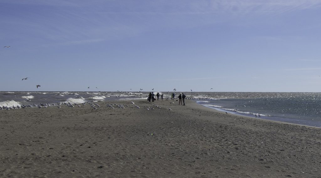 A view of the southernmost point in all of Canada