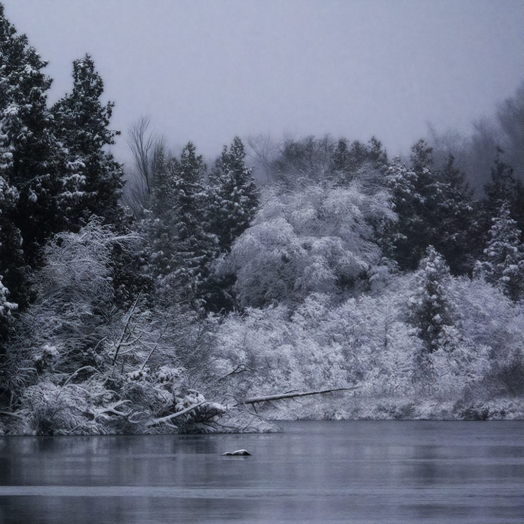 A landscape coated in snow and ice