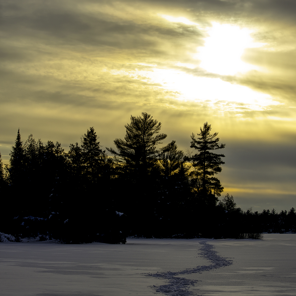 A snowshoe trail zig zags across the snow in the shadows of a setting sun