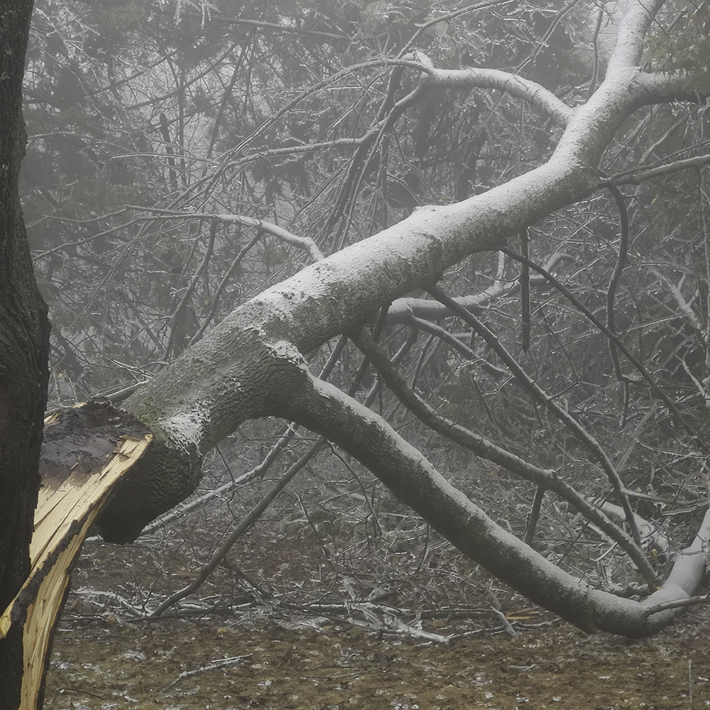 Ice Storm: Day #3
