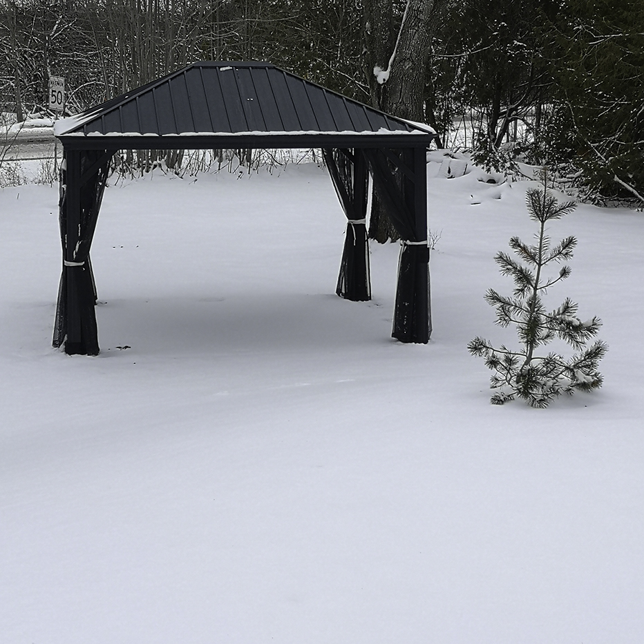 Late Winter endlessly waiting for Spring